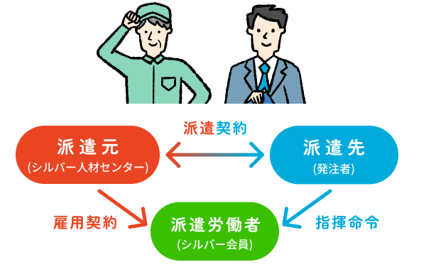 派遣元（シルバー人材センター）と派遣先（発注者）の間で派遣契約を結び、派遣元と派遣労働者（シルバー会員）は雇用契約を結ぶ。派遣先は派遣労働者に指揮命令を出す。